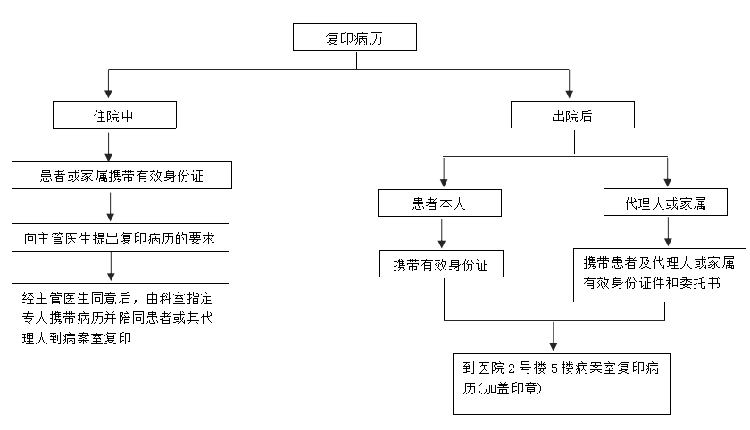 病历复印流程.jpg